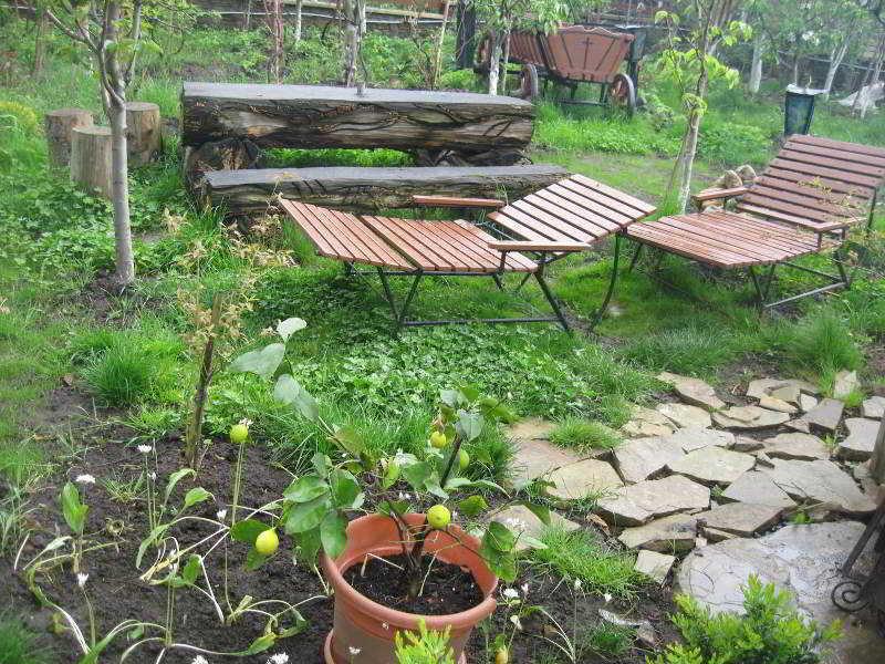 Leaganul Bucovinei Guest House Suceava Exterior photo